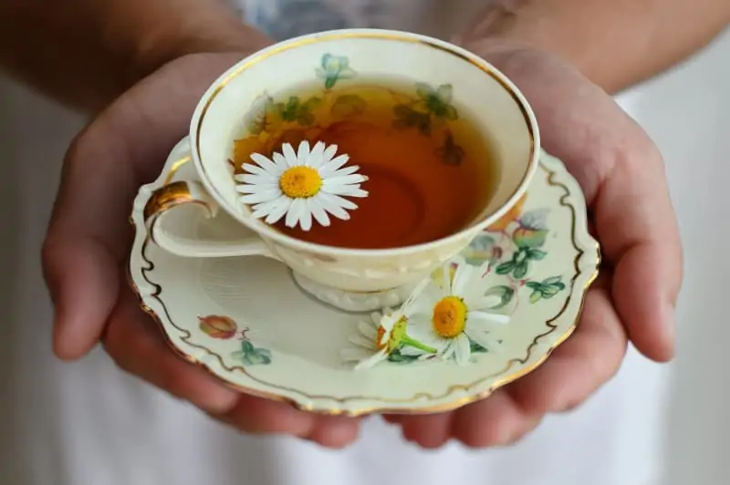 Tasséographie : lecture de feuilles de thé qui changent la vie