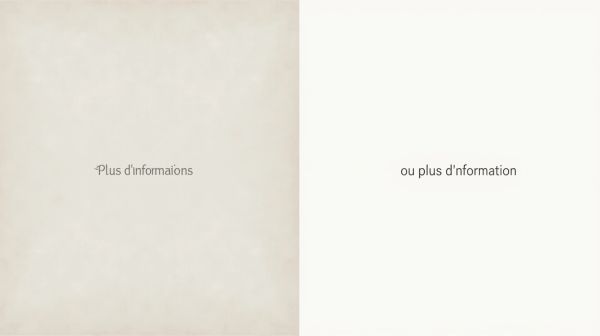 Plus d'informations ou plus d'information : quelle écriture choisir ?