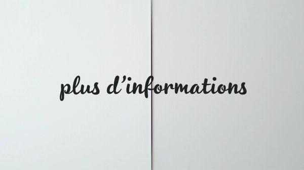 Plus d'informations ou plus d'information : quelle écriture choisir ?