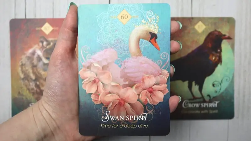 Spirit Animal Oracle Review: Captivating Guidance Deck
